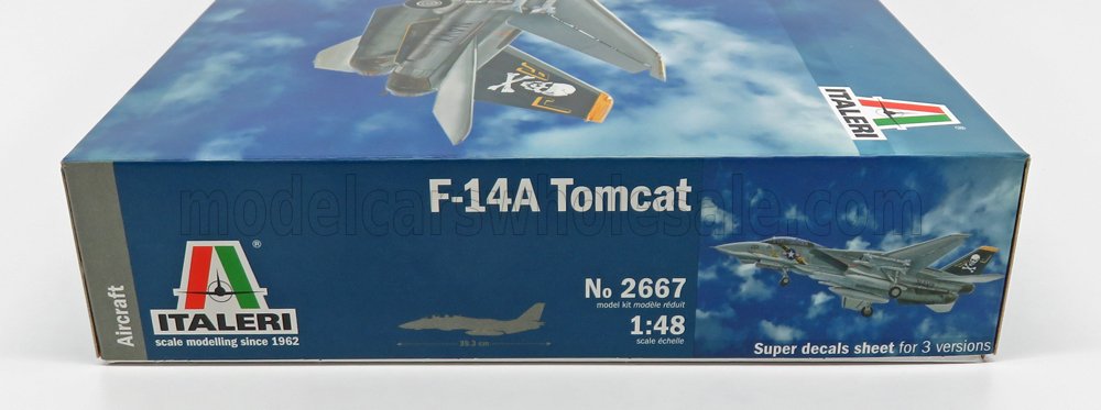 GRUMMAN | F-14A TOMCAT U.S.A. 1974 | /