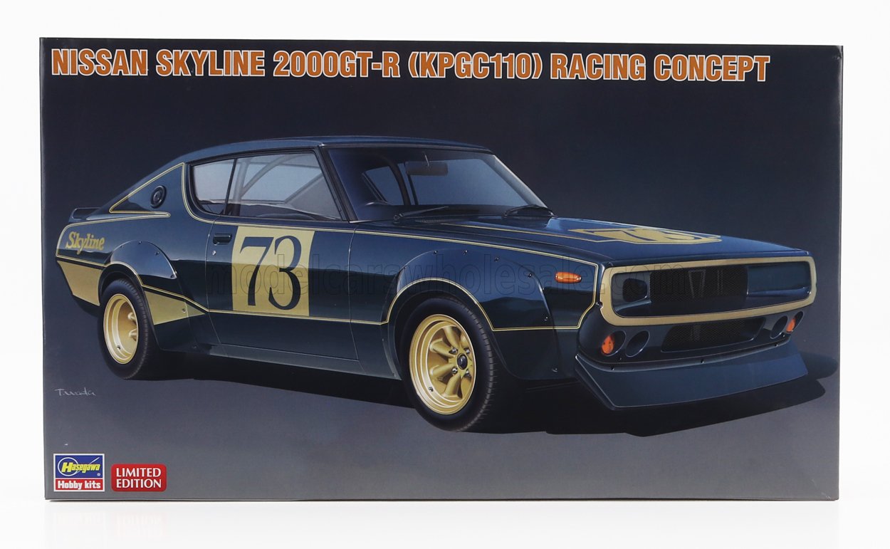 NISSAN | SKYLINE 2000 GT-R N 73 (KPGC110) RACING CONCEPT 1973 | /