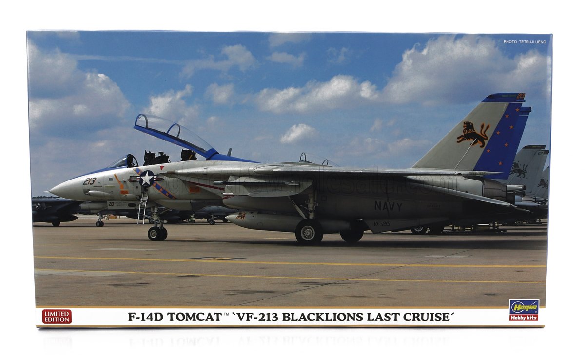 GRUMMAN | F-14D TOMCAT VF-213 BLACKLIONS LAST CRUISE MILITARY AIRPLANE 1974 | /