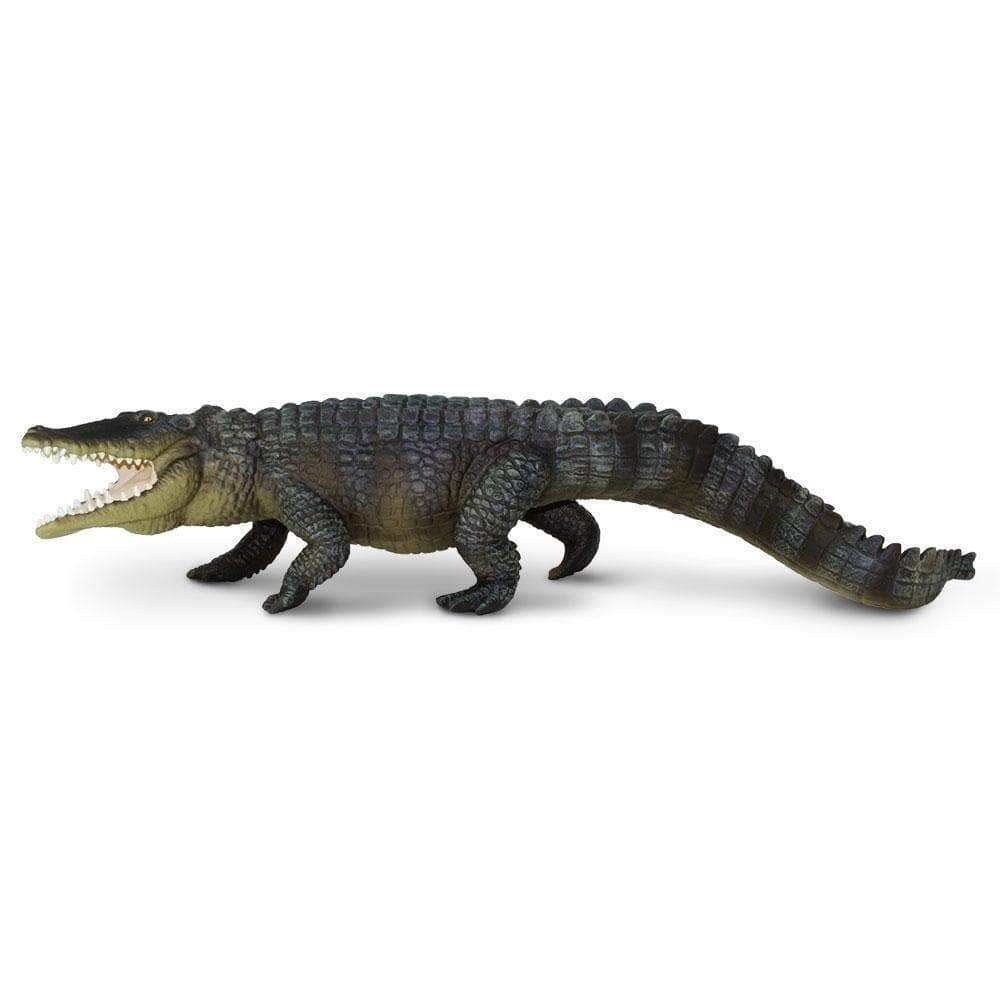 Saltwater Crocodile Toy