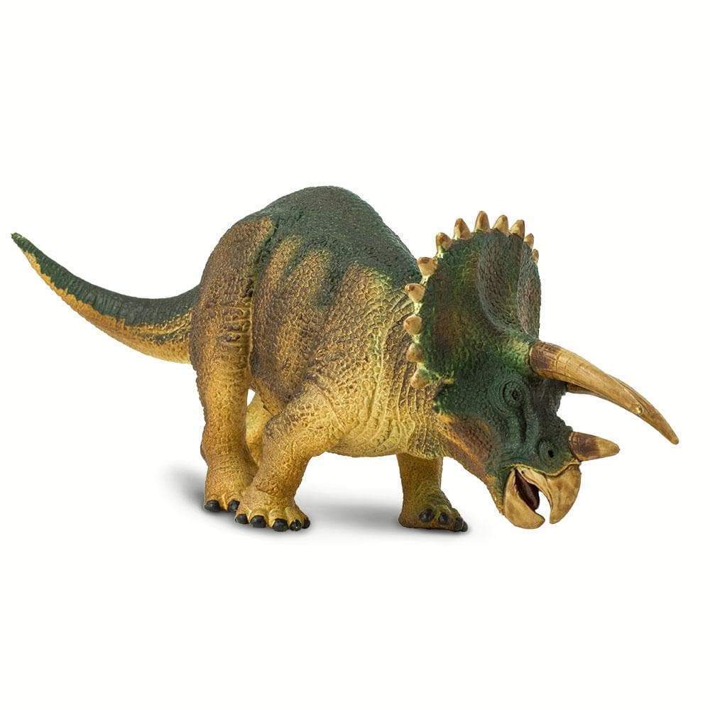 Triceratops .