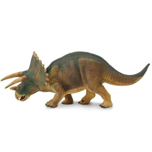 Triceratops .