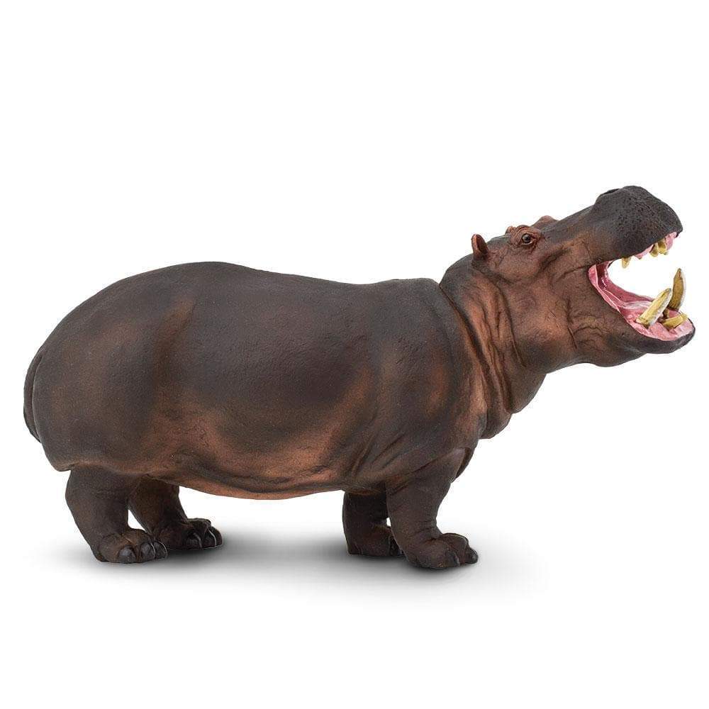 Hippopotamus Toy