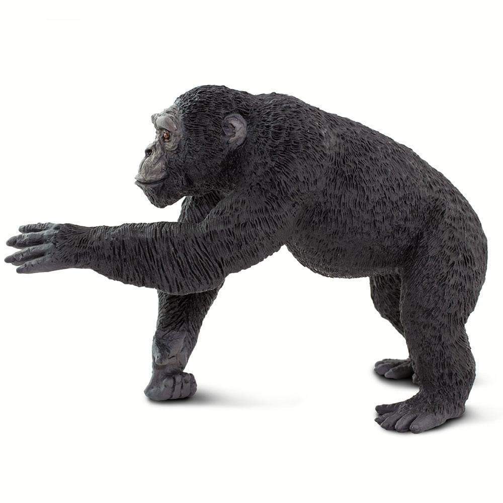 Chimpanzee Toy