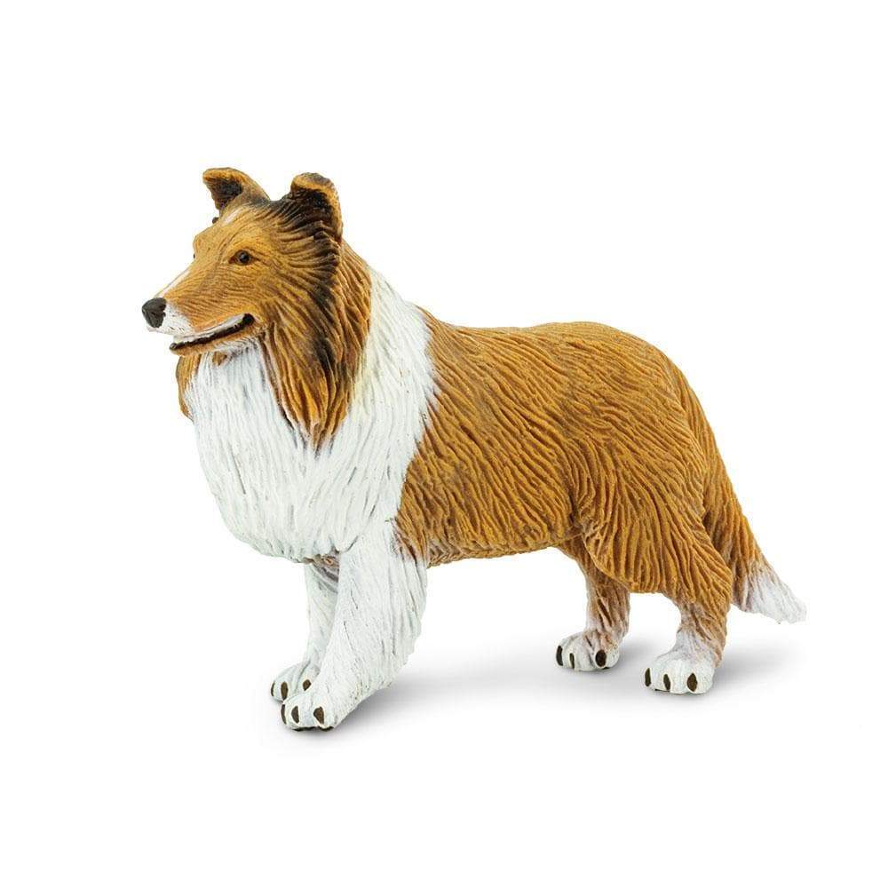 Collie Toy