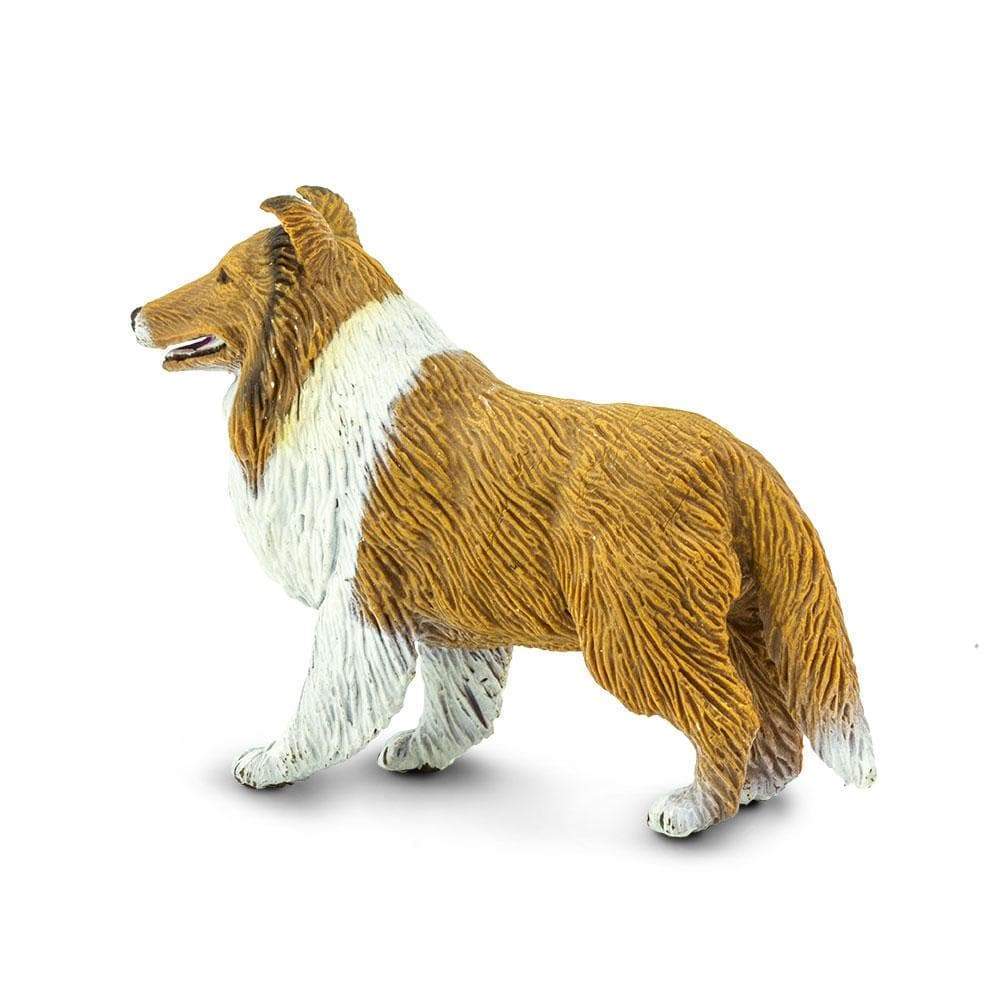 Collie Toy