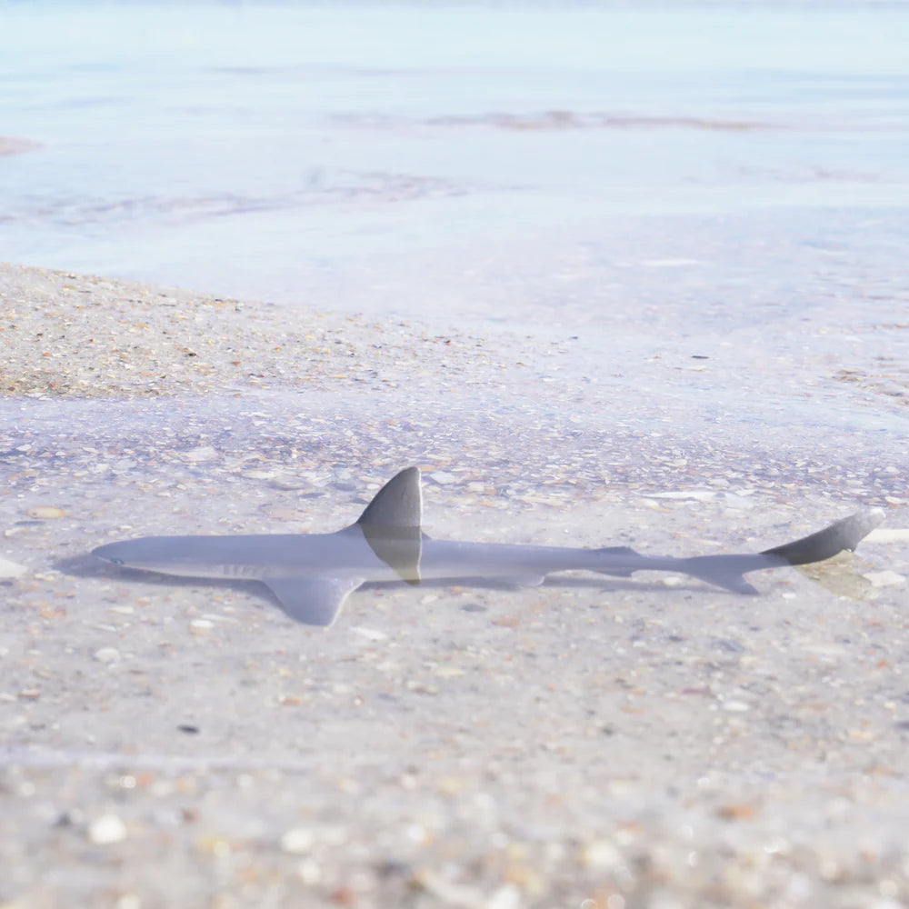 Gray Reef Shark Toy