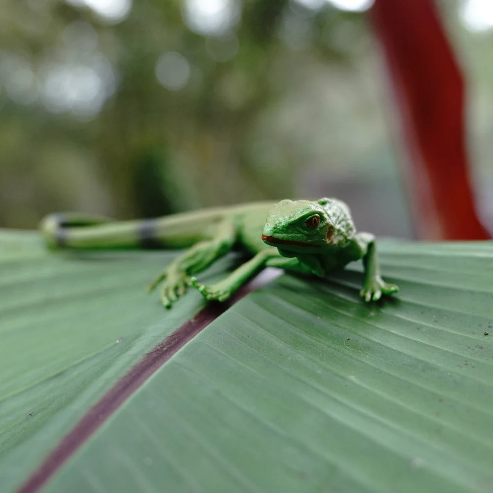 Iguana Baby Toy