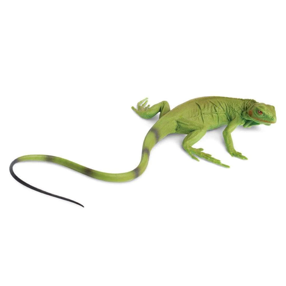 Iguana Baby Toy