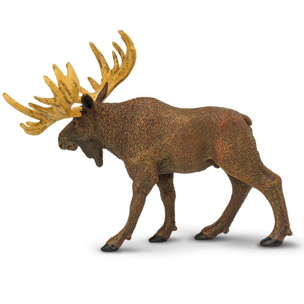 Moose Toy