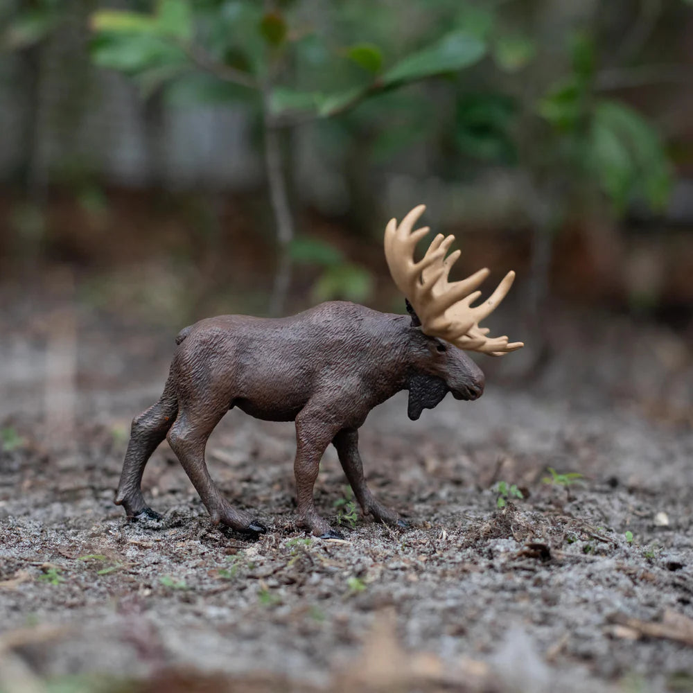 Moose Toy