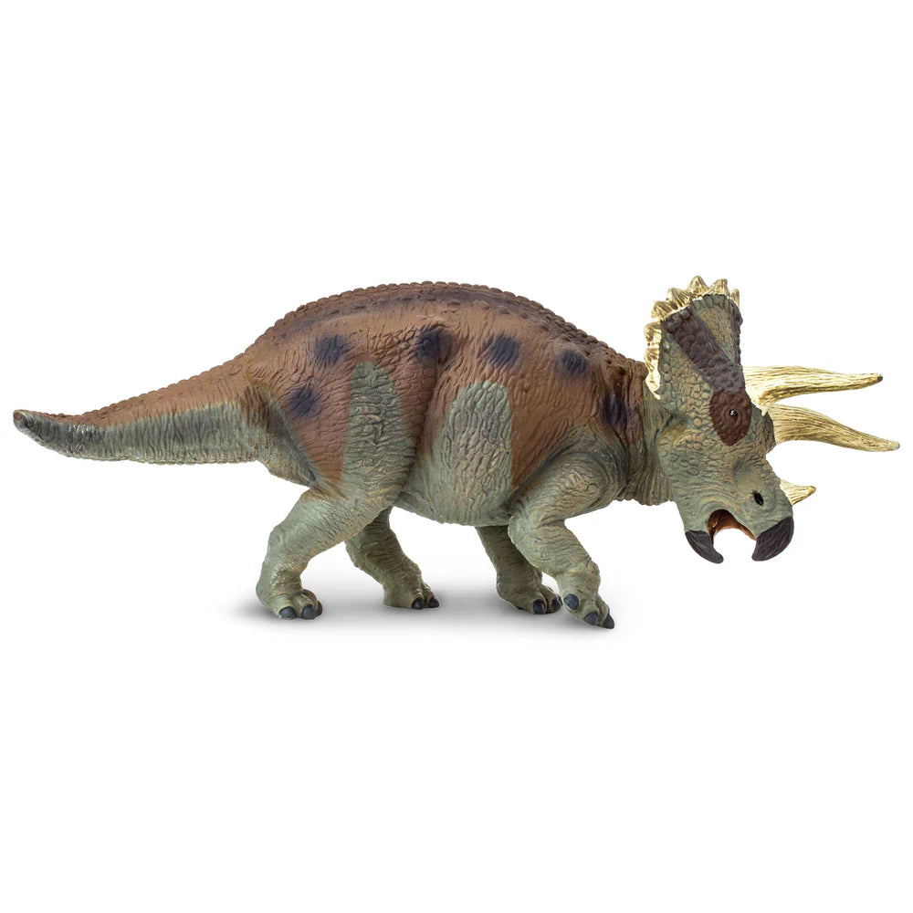 Triceratops Toy