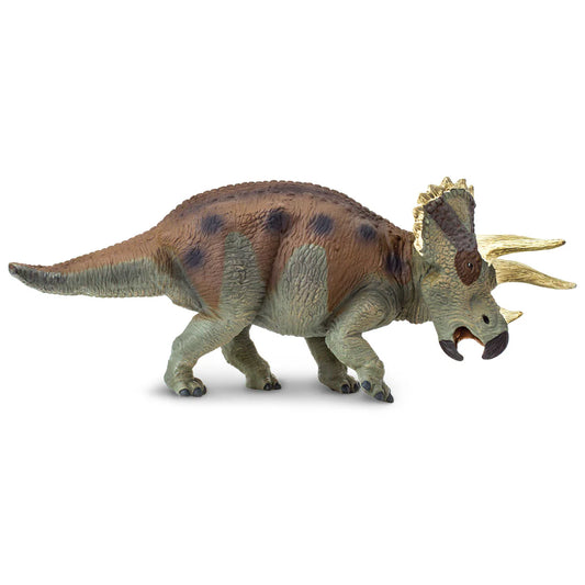 Triceratops Toy