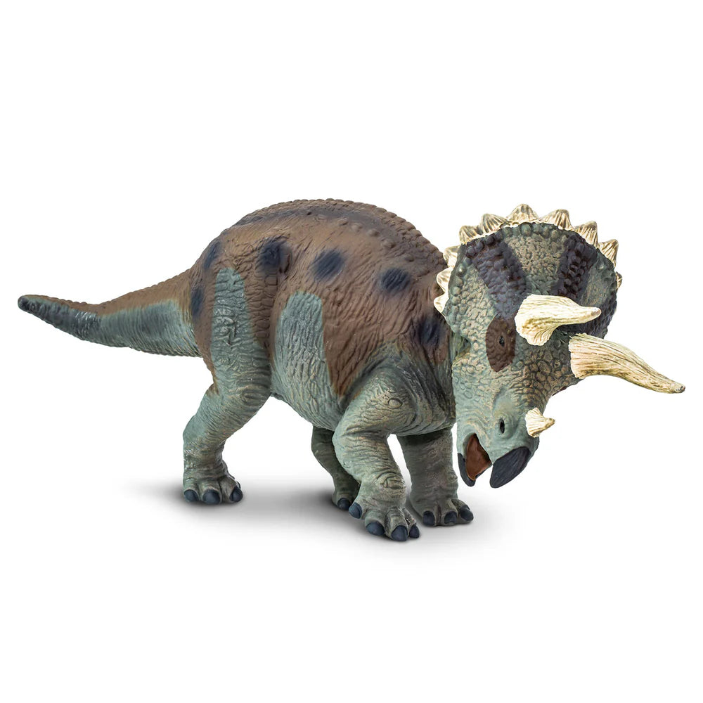 Triceratops Toy