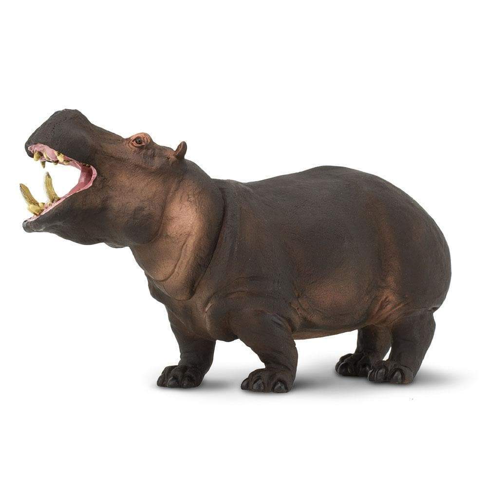 Hippopotamus Toy