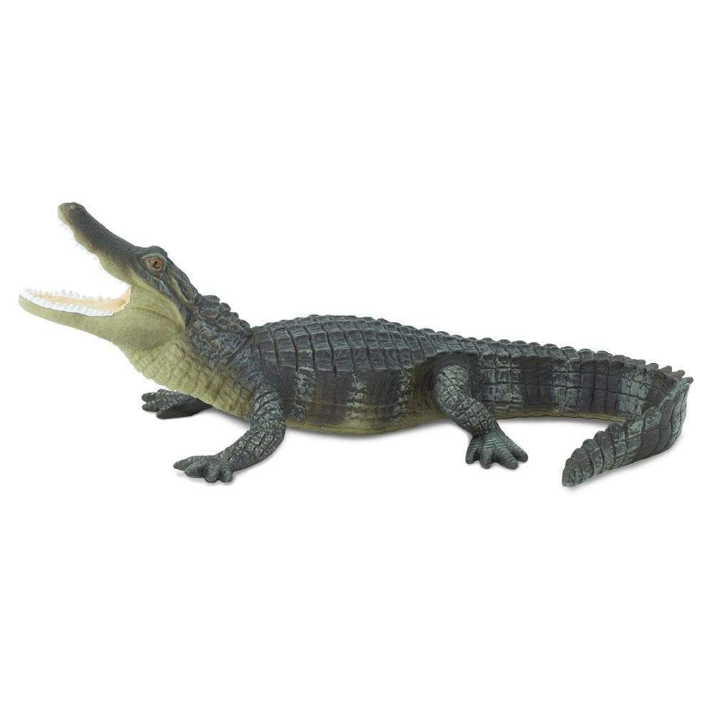 Alligator Toy