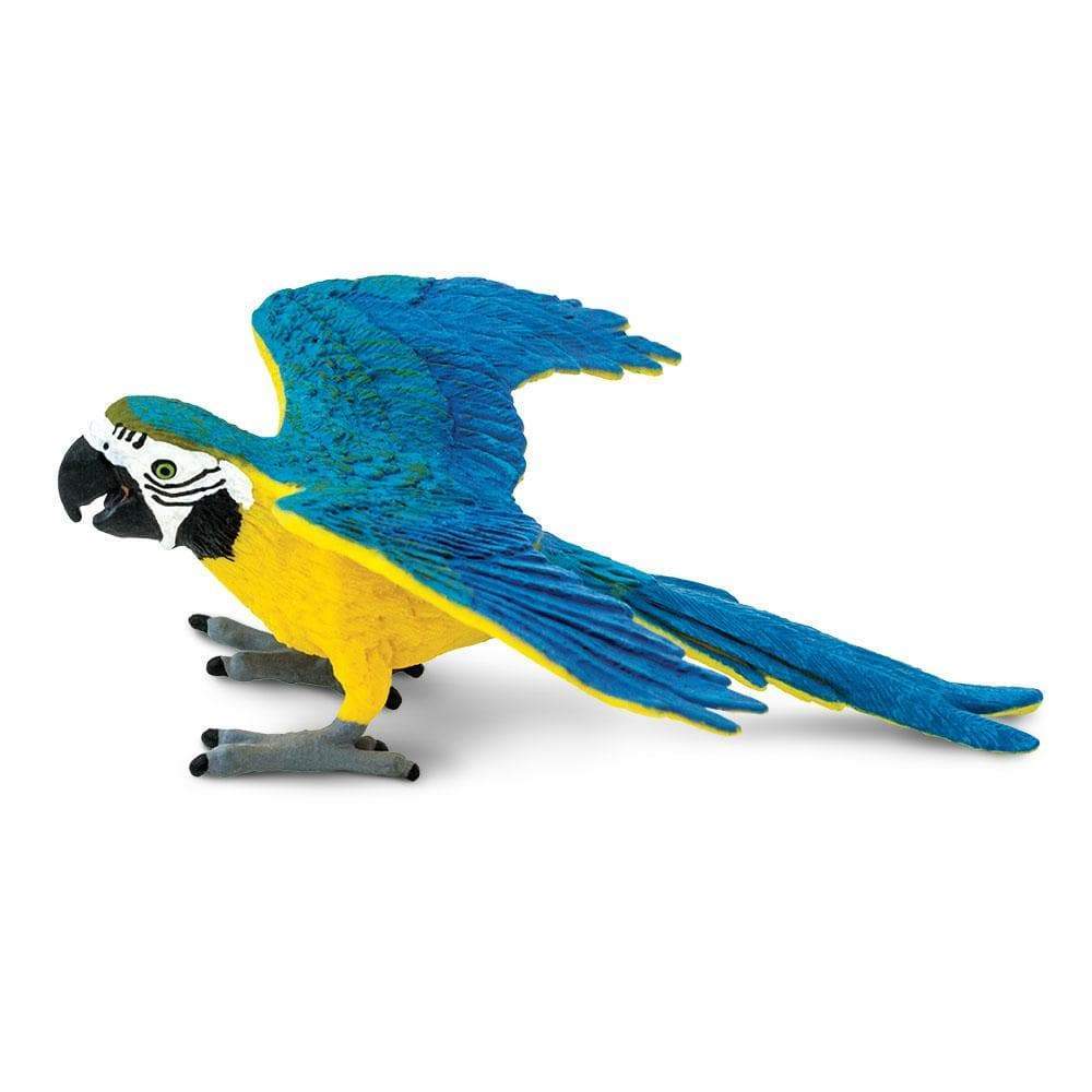 Blue & Gold Macaw Toy