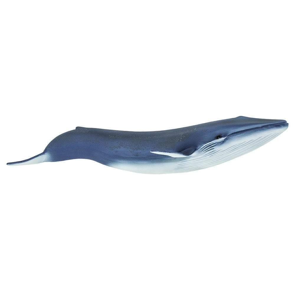 Blue Whale Toy