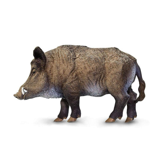 Boar Toy