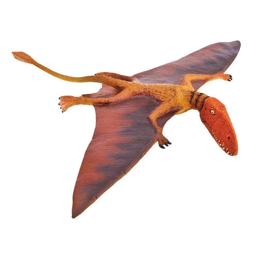 Dimorphodon Toy