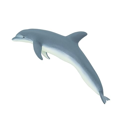 Bottlenose Dolphin