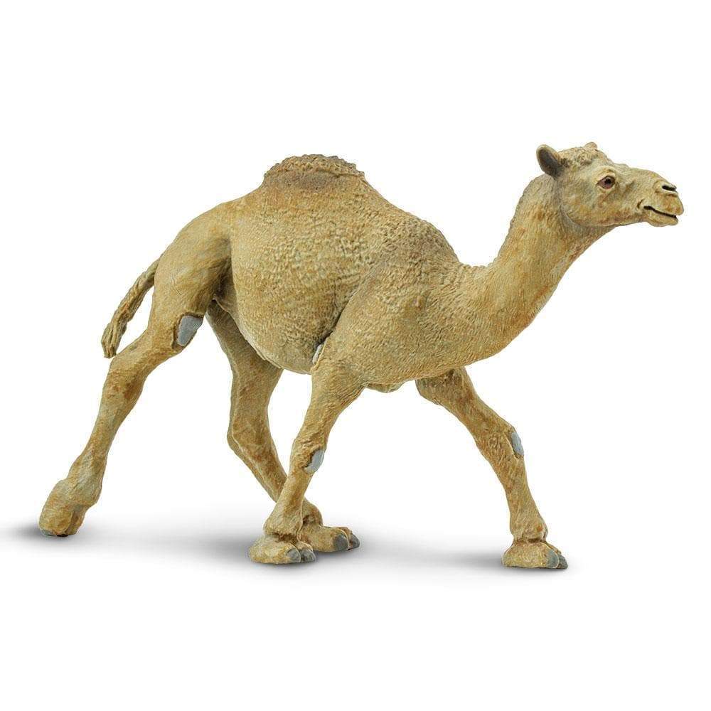 Dromedary Camel Toy