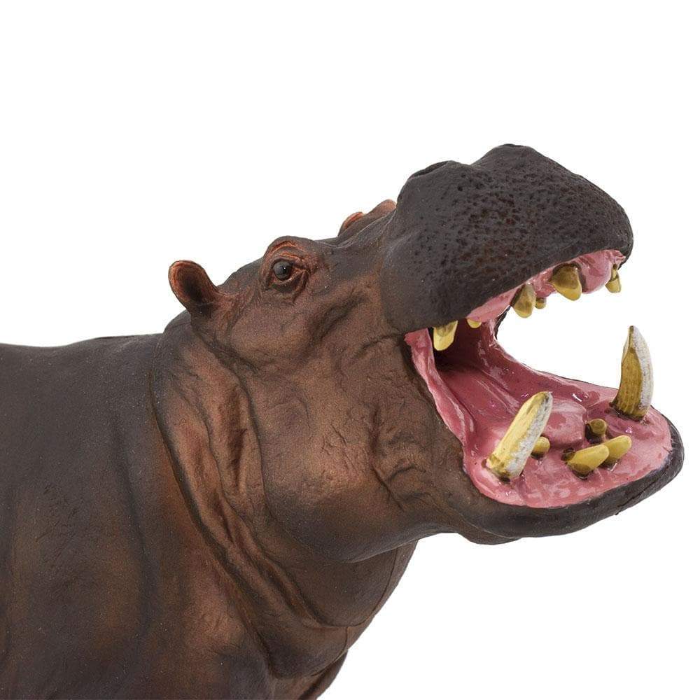 Hippopotamus Toy