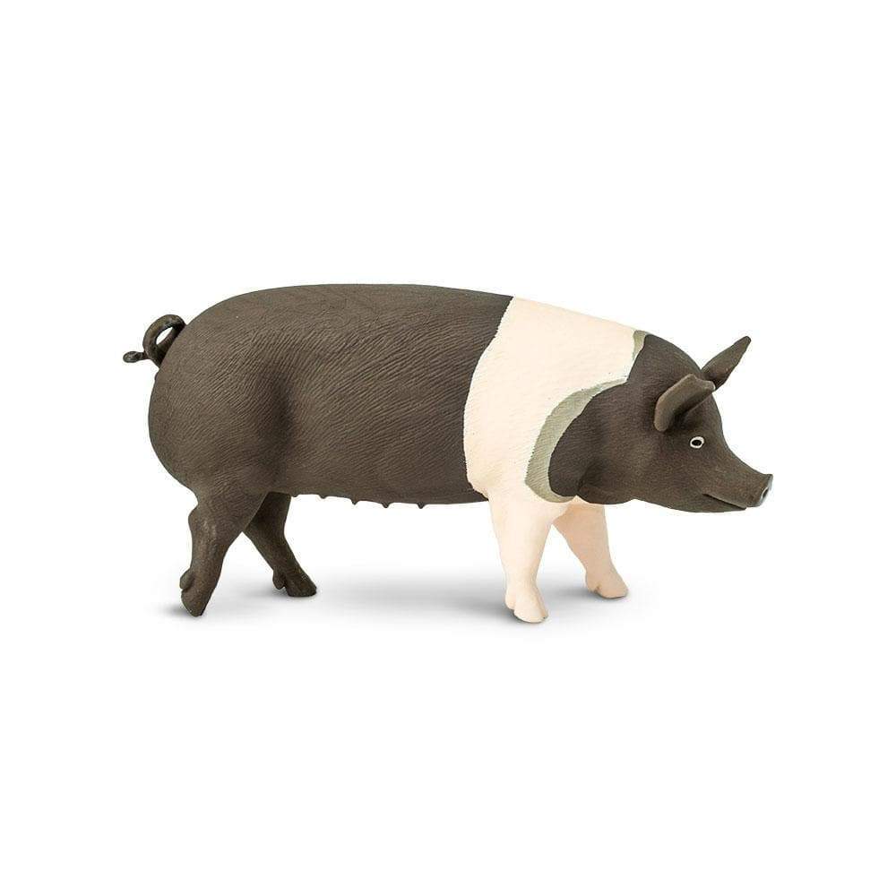 Hampshire Pig Toy