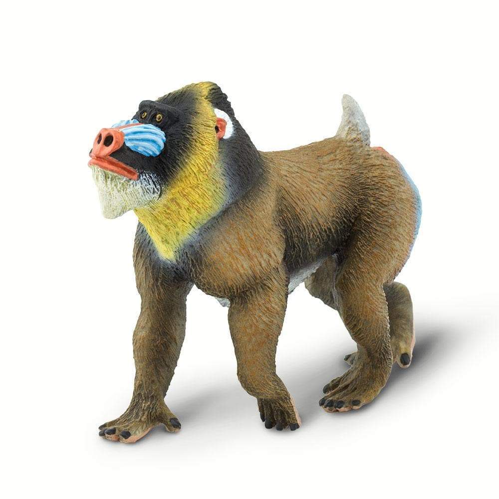 Mandrill Toy