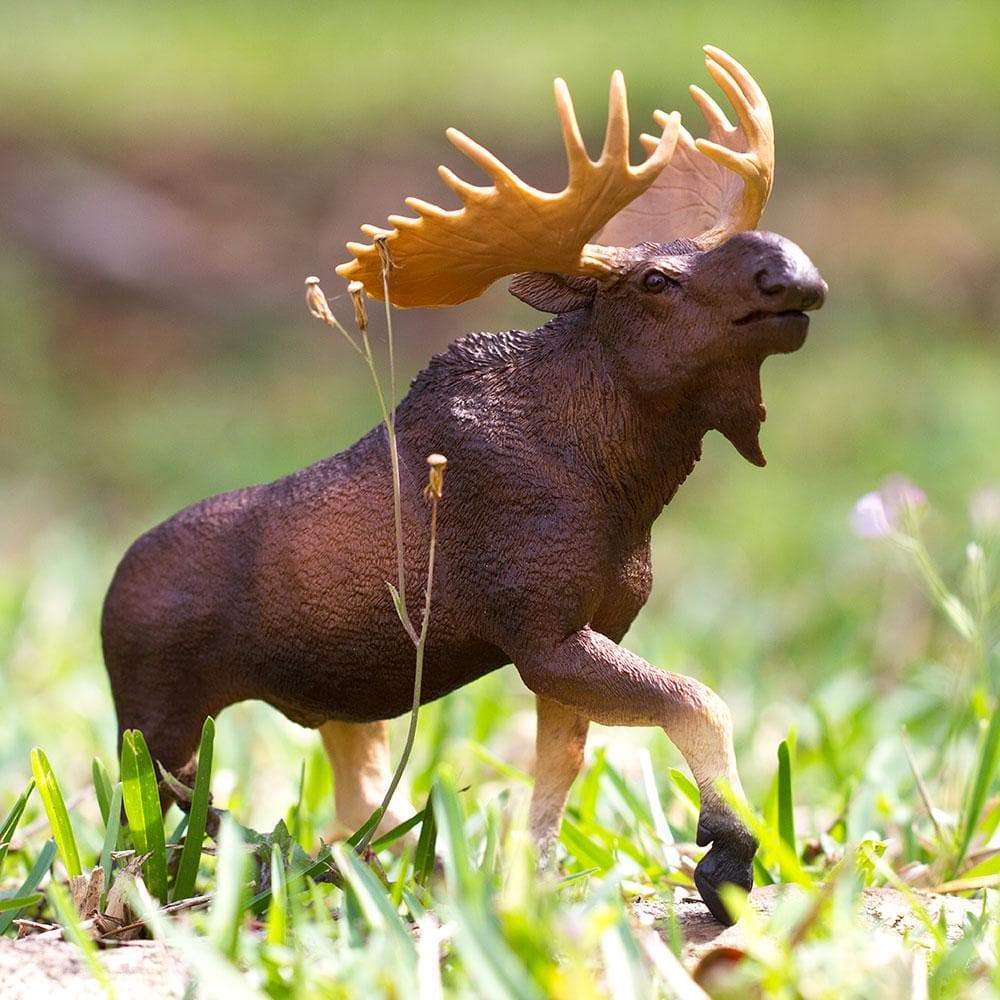 Moose Toy