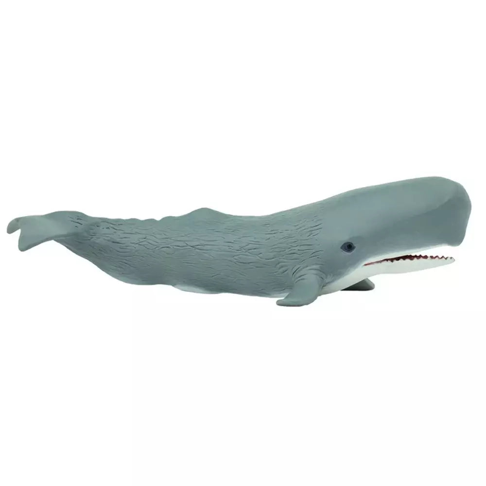 Sperm Whale