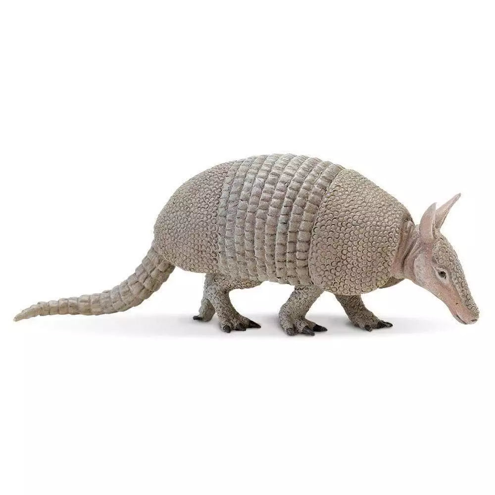 ARMADILLO