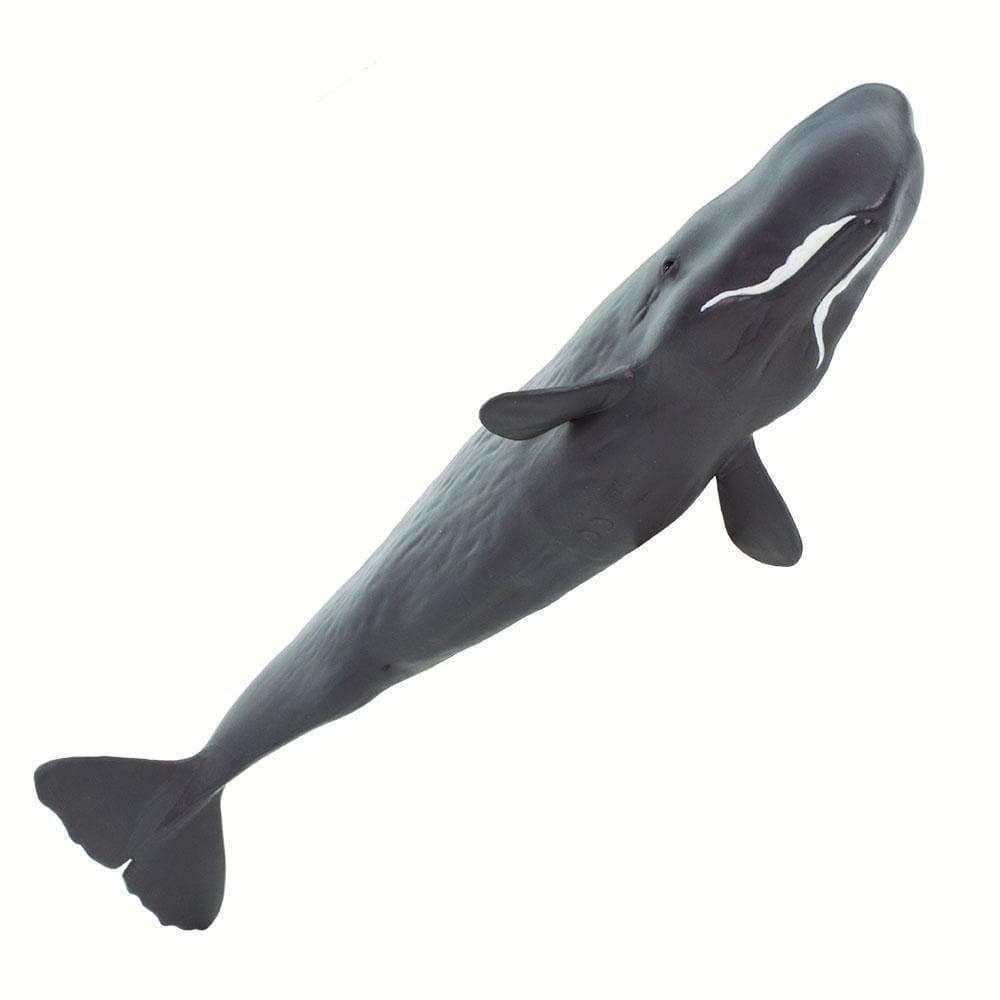 Sperm Whale Toy